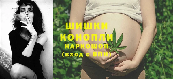 прущие грибы Осинники