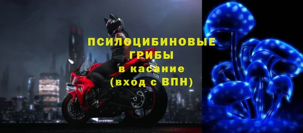 прущие грибы Осинники
