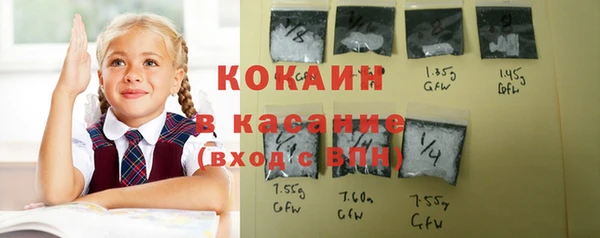 PSILOCYBIN Осташков