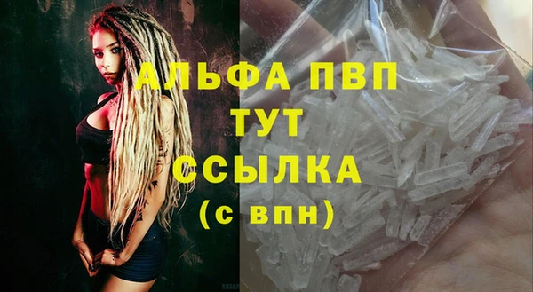 прущие грибы Осинники