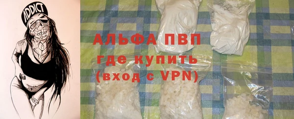 прущие грибы Осинники